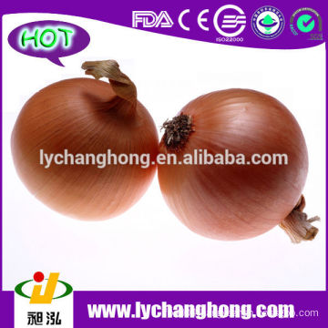 2014 New Crop Fresh Onion